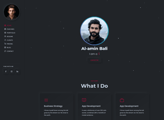 Consultant website design preview
